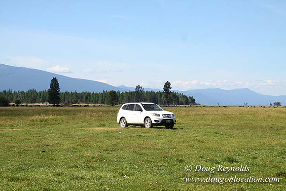 Ranch 18 South side of Hwy  has 2500 Acres of green fields Creeks water crossing Bridges on a Large Lake and miles of Dirt roads Oak trees  Forest land ATV Trails cows