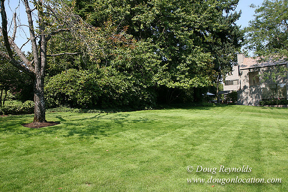 Smith House Contemporary, Modern, Dwell Style Home 3 car garage, 2 story’s, larger back yard & Front yard. Patio, PDX Zone