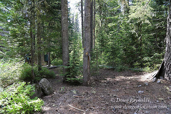 Jerry's Cabin-6645
