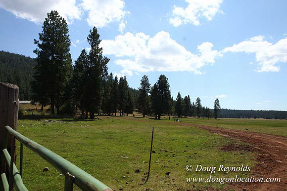 Ranch 18 South side of Hwy  has 2500 Acres of green fields Creeks water crossing Bridges on a Large Lake and miles of Dirt roads Oak trees  Forest land ATV Trails cows