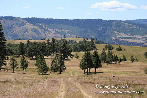 Brothers Ranch-8411
