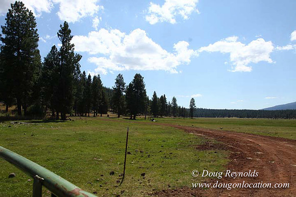 Ranch 18 South side of Hwy  has 2500 Acres of green fields Creeks water crossing Bridges on a Large Lake and miles of Dirt roads Oak trees  Forest land ATV Trails cows