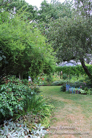 Laura’s Home This is a Portland Bungalow Style small home with a average sized and interesting back yard, nice garden with bee hive’s