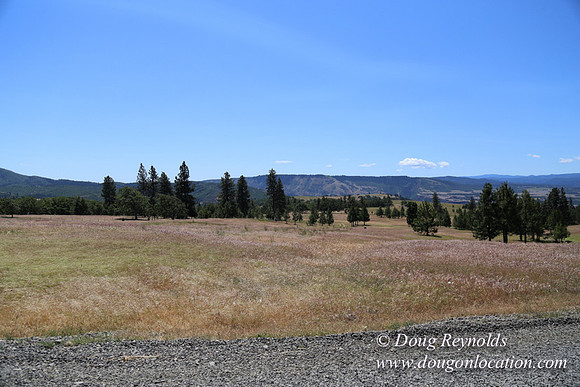 Brothers Ranch-8445