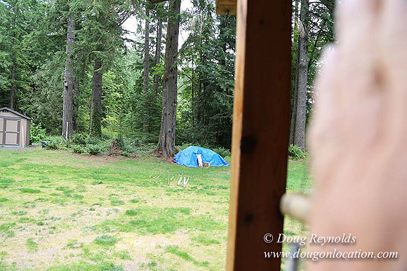 Cabin;  Home;  House; OR, Oregon Yard; deck; green. River,