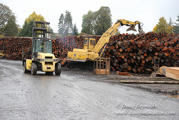 Saw Mill and Lumber Yard