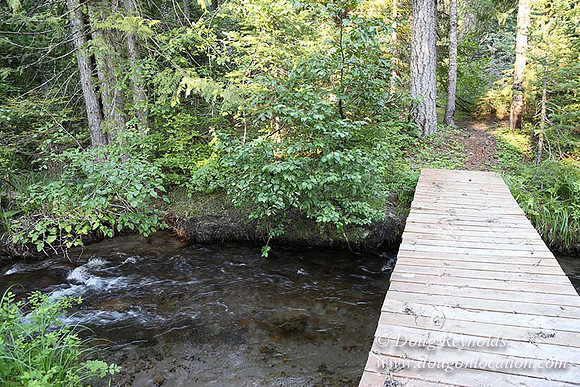 Wayen's Cabin, Home, Creek, Mountain, MT, Oregon, OR, "Fire Pit"