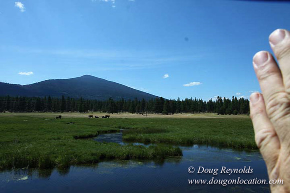 Ranch 18 South side of Hwy  has 2500 Acres of green fields Creeks water crossing Bridges on a Large Lake and miles of Dirt roads Oak trees  Forest land ATV Trails cows