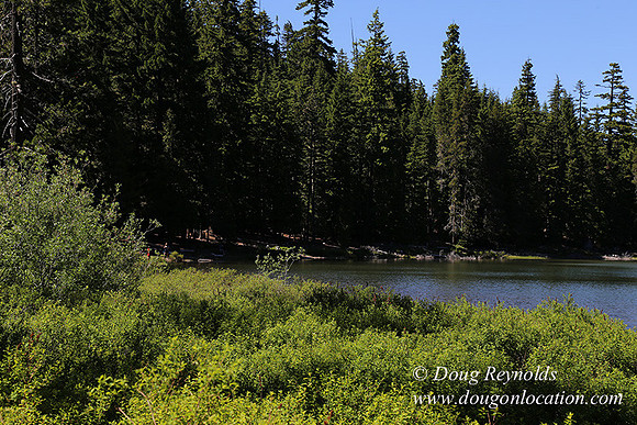 Frog Lake-3427