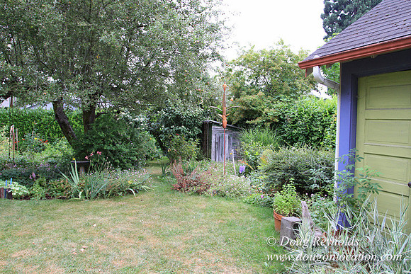 Laura’s Home This is a Portland Bungalow Style small home with a average sized and interesting back yard, nice garden with bee hive’s