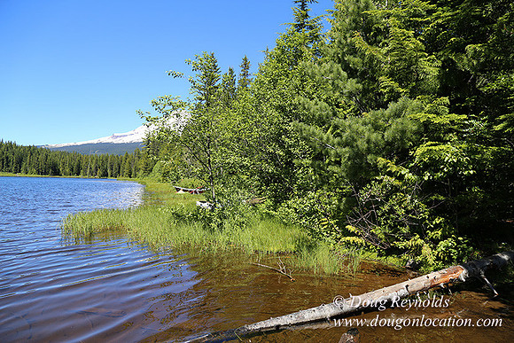 Trillium Lake-32003609