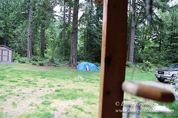 Cabin;  Home;  House; OR, Oregon Yard; deck; green. River,
