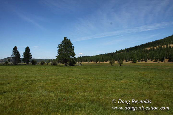Ranch 18 South side of Hwy  has 2500 Acres of green fields Creeks water crossing Bridges on a Large Lake and miles of Dirt roads Oak trees  Forest land ATV Trails cows