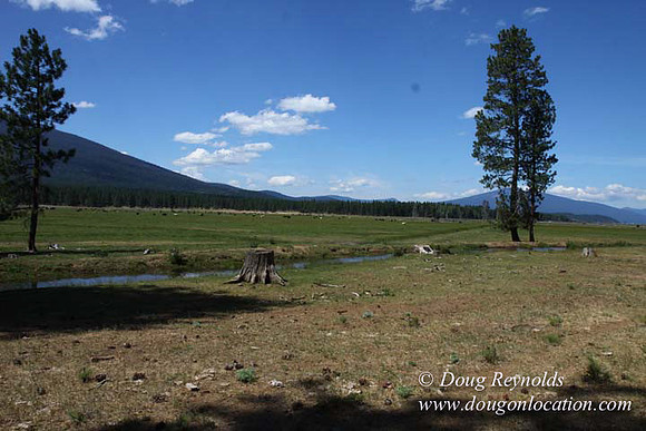 Ranch 18 South side of Hwy  has 2500 Acres of green fields Creeks water crossing Bridges on a Large Lake and miles of Dirt roads Oak trees  Forest land ATV Trails cows
