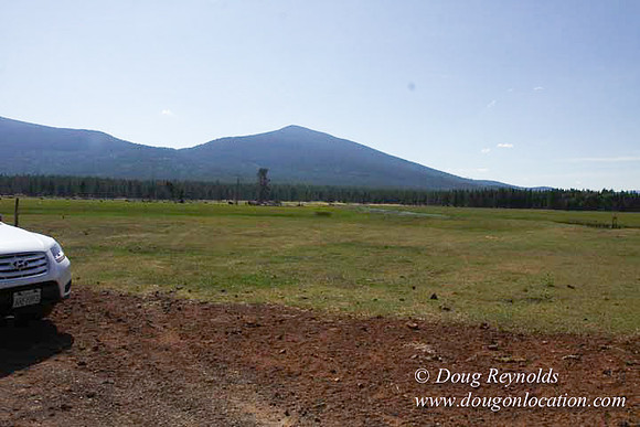 Ranch 18 South side of Hwy  has 2500 Acres of green fields Creeks water crossing Bridges on a Large Lake and miles of Dirt roads Oak trees  Forest land ATV Trails cows