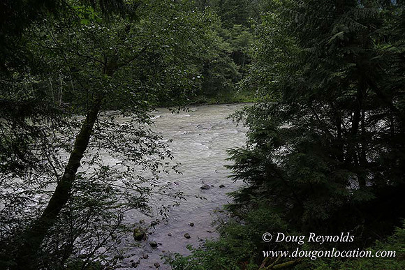 Cabin;  Home;  House; OR, Oregon Yard; deck; green. River,