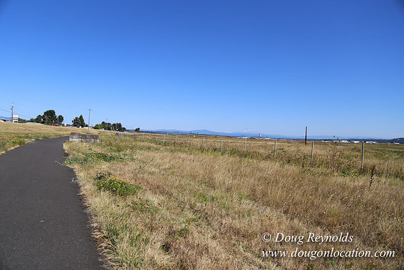 West End S Runway-4941