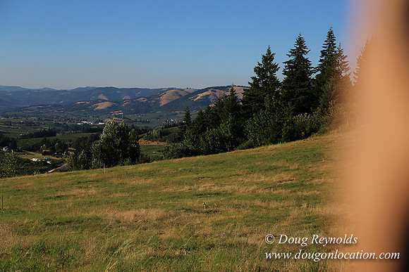 Both Hill Rd-8624