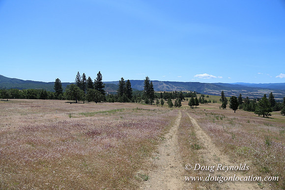 Brothers Ranch-8414