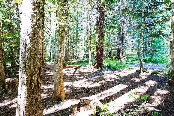 Karri's Cabin