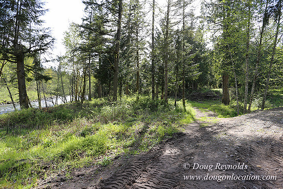 Brians River Side-9860