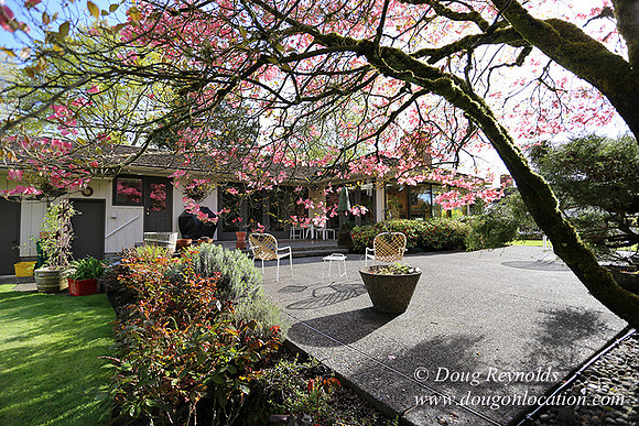 Mid Century Traditional Style Home, With a Basement, 2 car garage average sized Back Yard with Patio