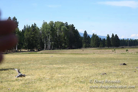 Ranch 18 South side of Hwy  has 2500 Acres of green fields Creeks water crossing Bridges on a Large Lake and miles of Dirt roads Oak trees  Forest land ATV Trails cows