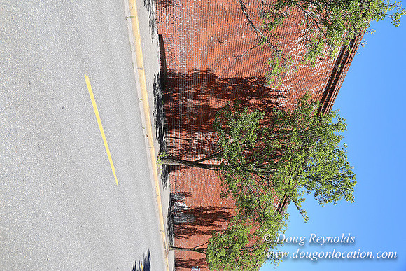 2nd St Hood River-7903