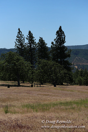 Brothers Ranch-8427