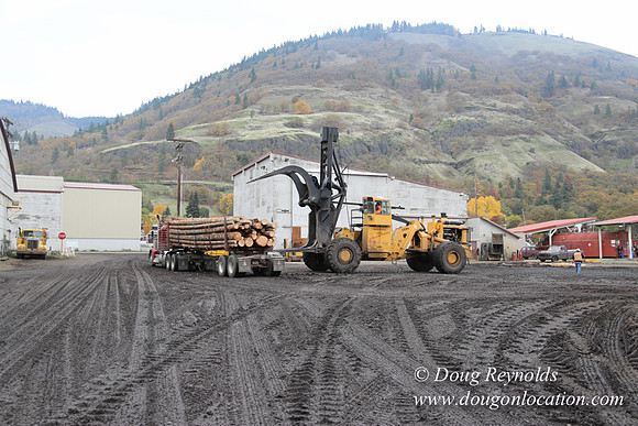 SDS Lumber-1458