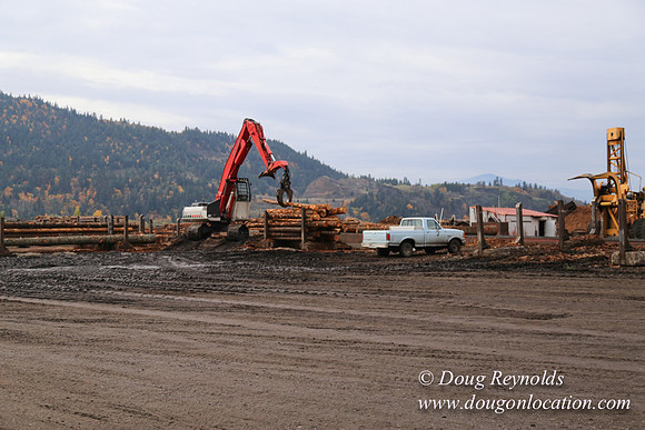 SDS Lumber-1297