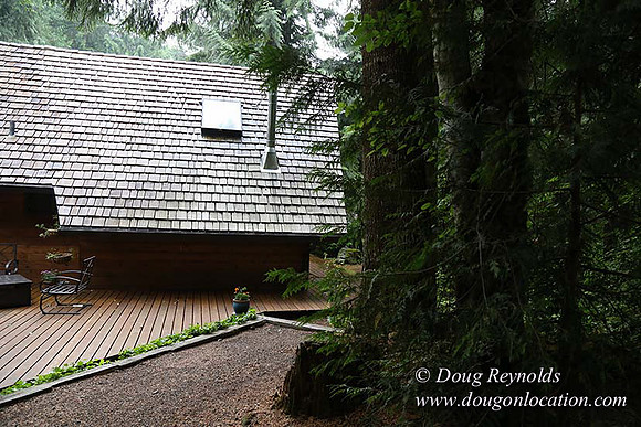 Gary's Cabin-7601