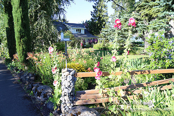 Patricks Farm-8466