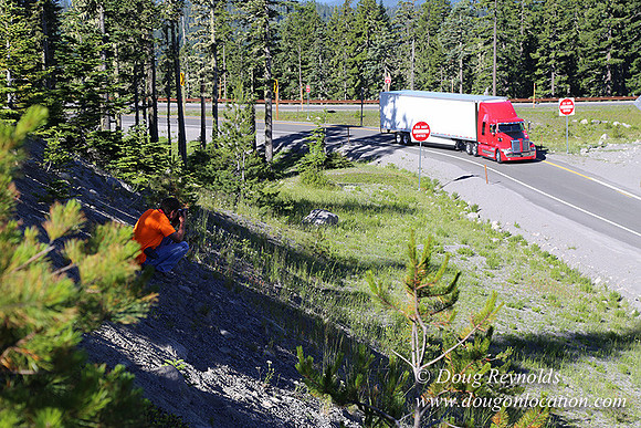 CMD Western Star Production Photo