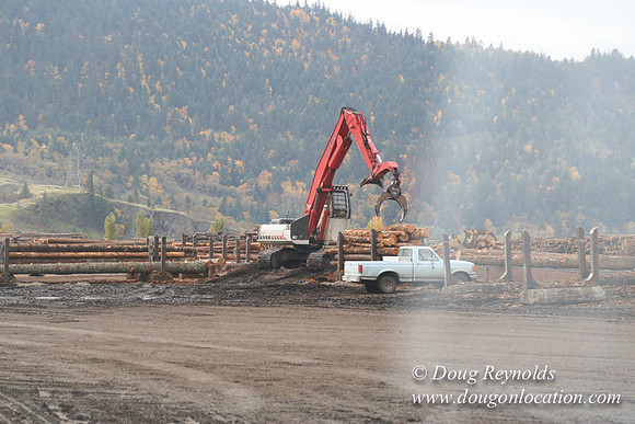 SDS Lumber-1296