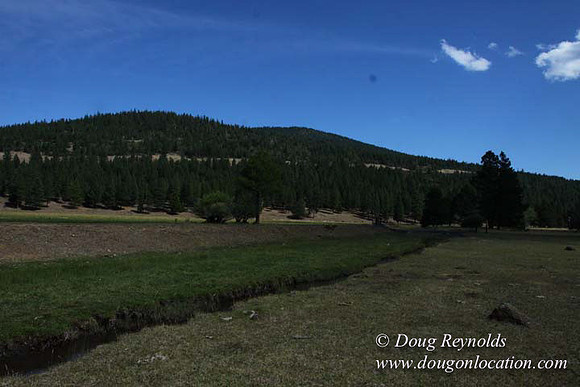 Ranch 18 South side of Hwy  has 2500 Acres of green fields Creeks water crossing Bridges on a Large Lake and miles of Dirt roads Oak trees  Forest land ATV Trails cows