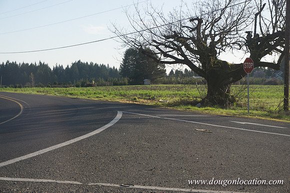 Kelso Rd W Driving E-3981