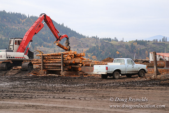 SDS Lumber-1299