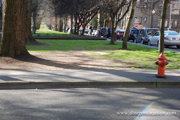 South Park Blocks-0037