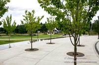 LO FH Park-3384