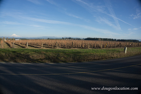 Kelso Rd W Driving E-3986