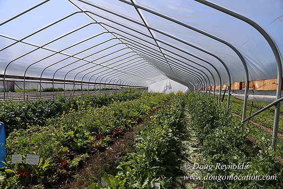 Vahan's Farm & Market-5205
