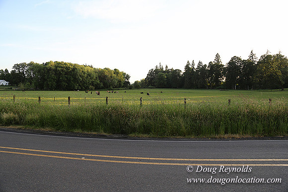 Mountaindale Rd-6429