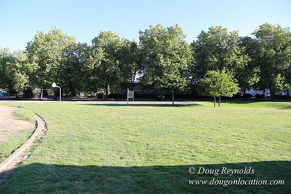 Lincoln Park-0573