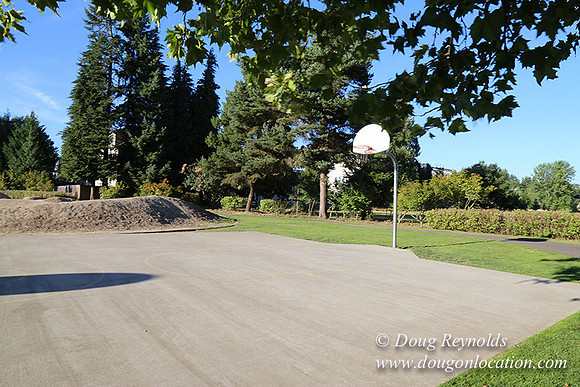 Lincoln Park-0628