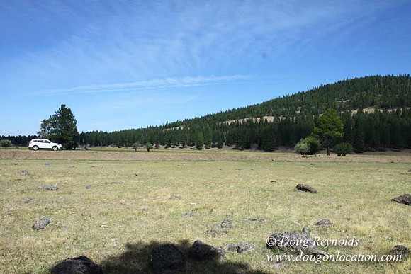 Ranch 18 South side of Hwy  has 2500 Acres of green fields Creeks water crossing Bridges on a Large Lake and miles of Dirt roads Oak trees  Forest land ATV Trails cows