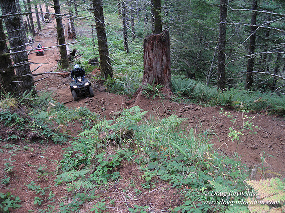 Suzuki ATV Production Photos