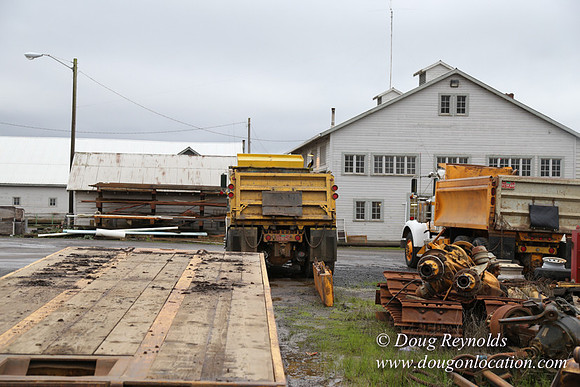 CFL Logging-0874