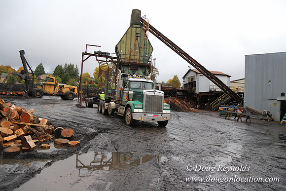 Saw Mill and Lumber Yard
