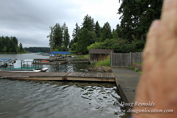 Boat, Cabin, Dock, "Greg's", Home, House, Lake, Small, WA, Washington, Yard, deck, green., vacation